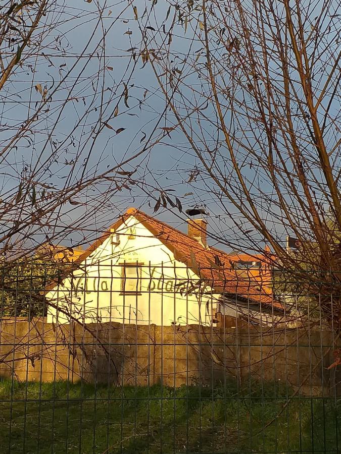 Villa Blanco Opwijk Kültér fotó
