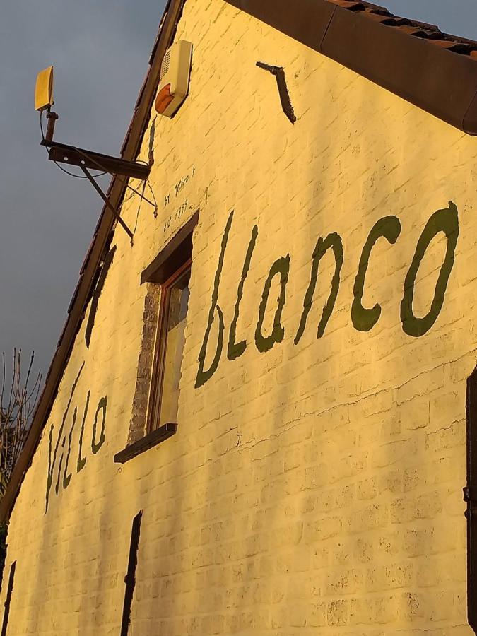 Villa Blanco Opwijk Kültér fotó